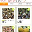 예일조경 이미지