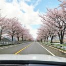 장터풍경 | 흙집섬진강풍경 구들장 촌캉스 힐링 가능한 하동 화개장터 숙소