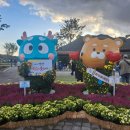 강서사랑의부부합창단 | 2026 양산방문의 해 선포식을 기념하는 낙동강 시월애 콘서트를 아내와 함께 힐링한 후기