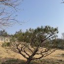 성주농원 이미지