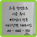 하남 탄성코트 미사강변 리버나인 베란다 페인트 곰팡이 결로