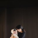 스프링가든 | 워커힐 호텔 금룡 돌잔치 돌스냅 _ 스트릿가든 &amp; 라이크스프링