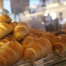 수커피로스터스 이미지