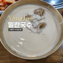 개포동 밀란국수 개포본점 백태콩국수 복국 솔직후기