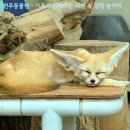 전주동물원 이미지