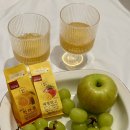 무릉리 그집 | 제주 서쪽 10만원대 자쿠지 서귀포 감성숙소 내돈내산 추천, 에어비앤비 '무릉리 그 집'