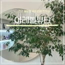아레볼뷰티 이미지