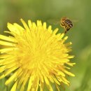 세보한의원 이미지