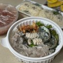 싱싱회마니