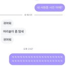 꽉 채워진 영양만점 멩멩이 일기〰️🍁🩵💜❤️