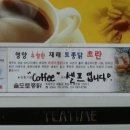 솔도토종닭