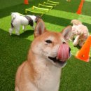 놀러오개(도화점) 이미지