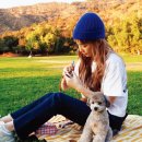 ㈜태연에코철거 | 배관누수.화장실에 물이 새요.욕실 타일벽 코팅 리모델링.소녀시대 태연의 반려견