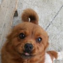 이리농장 이미지