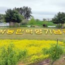 내꽃공원 이미지