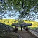 외성길25(입겿, 26/05/05, 동문-큰골-한봉-벌봉-동문, Mother Of Mine) 이미지