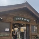 쌍둥이목장 | 평창여행 첫번째이야기(대관령 양떼목장 + 강릉 강문해변 후기)