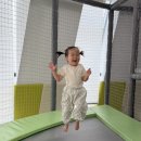 천전동8 Daum카페