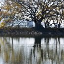 내수면환경생태공원주차장 이미지