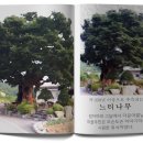 명봉산 경로당 네이버블로그