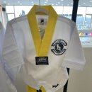 프리미어 스포츠 송정태권도 이미지