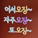오마이건어물