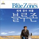 블루존 네이버블로그