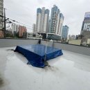 Bliss 강아지 유치원 이미지