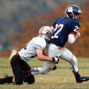 프로 팰리스 짐 이미지