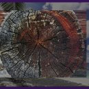 거차뻘배체험마을 이미지