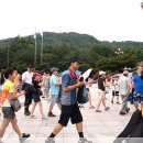 8/19(일) '한국일보 주최 거북이마라톤대회' 에서의 하루 이미지