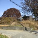 김을생 효자각 이미지