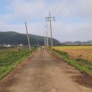 남천제방길 이미지