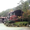 금원산 자연휴양림 이미지