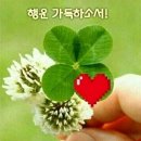 A-19 이미지