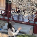 월평유적방문자센터 이미지