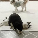 (주)류재은베이커리 행복점 이미지