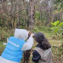 국립생태원 이미지