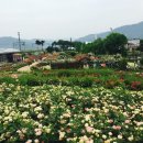 세영상회 - 중구 큰장로26길 25 | 세영상회