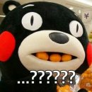 원주백정