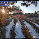 홍북보건지소 이미지