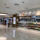 코리아애견샵 이미지