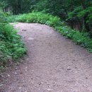 Greenfield 이미지