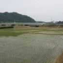 한천길-4 네이버블로그