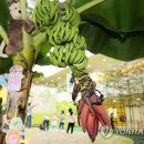 바나나어린이집 이미지