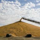 초월농장 이미지