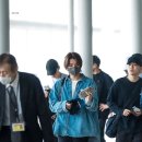 헤이버디 이미지