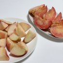 홍백농장 네이버블로그
