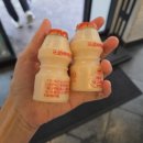 스완양분식 - 동구 중앙대로236번길 7-5 | 부산시청역맛집 경양식 수제 돈까스와 쫄면이 맛있는 스완양분식