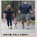 매일이 헬모닝 ㅋㅋ 이미지